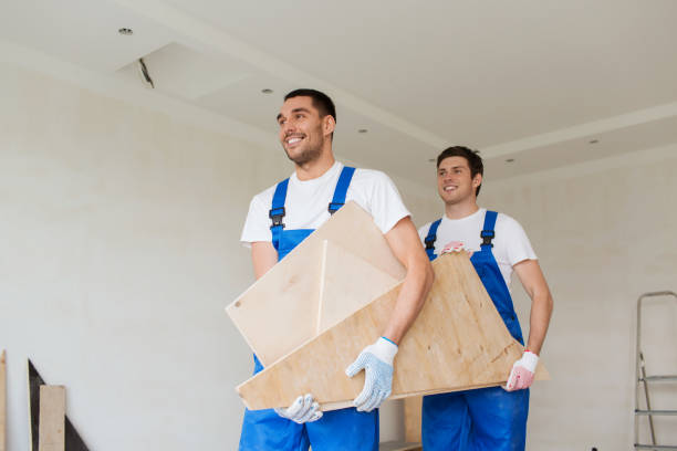 Best Shed Removal  in Laurium, MI